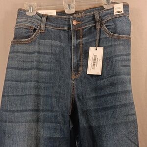 Judy Blue "Takin' It easy" Relaxed Fit High Waist 22W